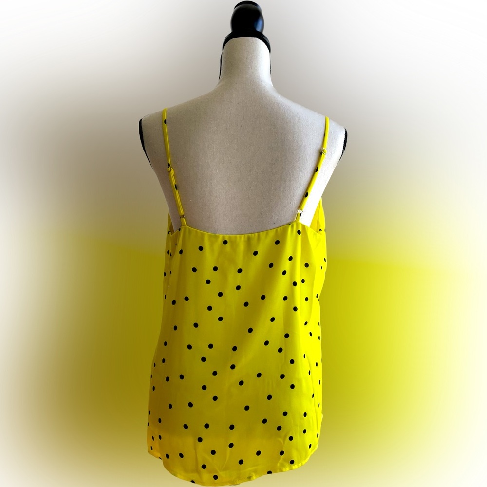 Bumblebee - Picture 2 of 2